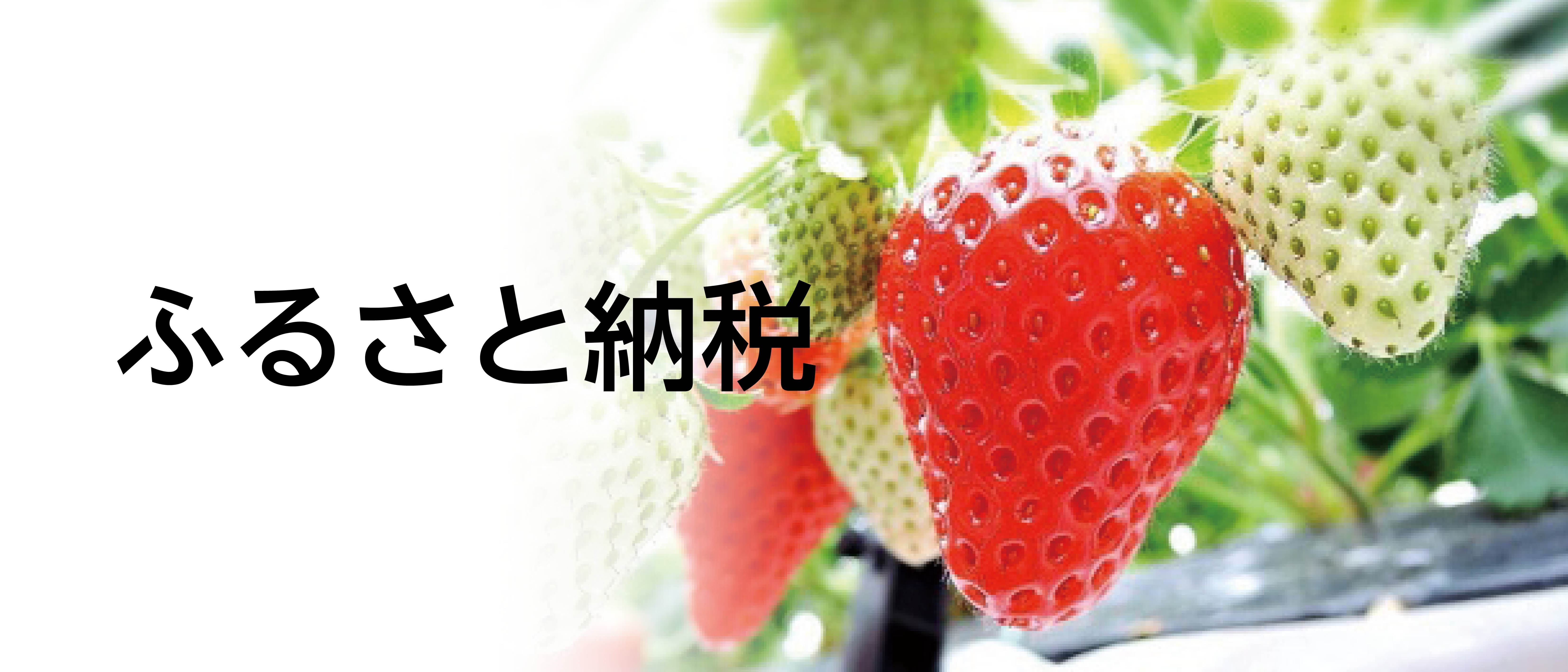 ふるさと納税