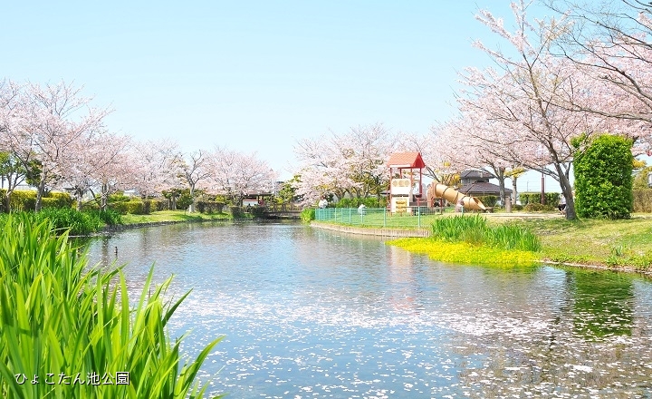 ひょこたん池公園