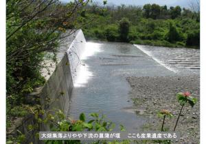 iyogawa-032
