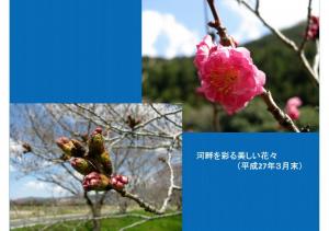 iyogawa-042