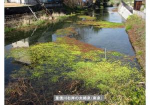 iyogawa-053