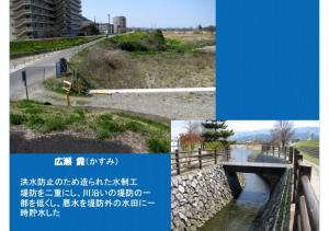 iyogawa-067