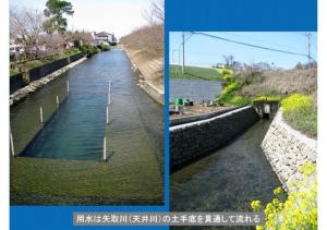 iyogawa-081