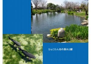 iyogawa-094