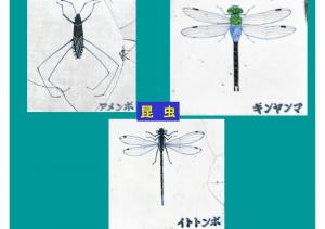mizu-096