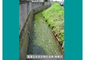 mizu-102