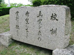 56