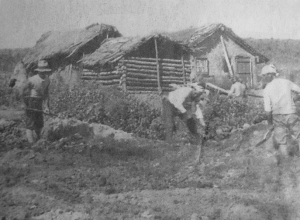 55