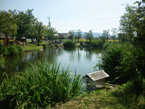 ひょこたん池の画像