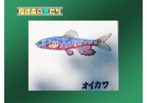fukutoku-109