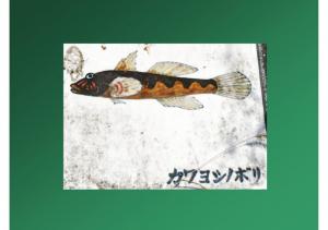 fukutoku-111