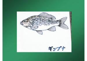 fukutoku-114