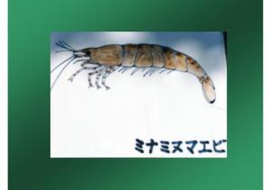 fukutoku-116