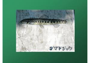 fukutoku-117