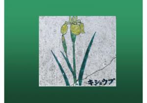fukutoku-124