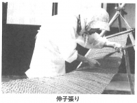 thum-kitaiyo-nobikobari