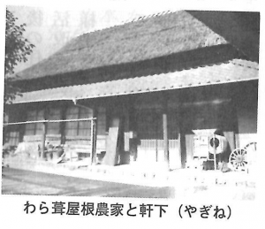 thum-kitaiyo-yagine