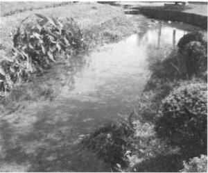 image-a107