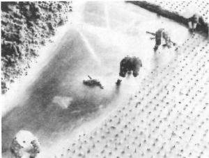image-a109