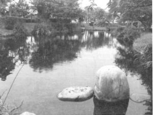 image-a124