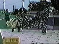 tsuruyoshi-13