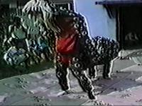 tsuruyoshi-14