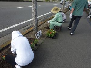 苗植え