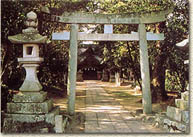 伊予神社の画像