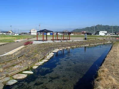 台地泉公園の画像