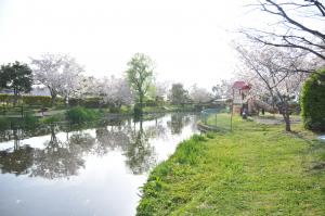 ひょこたん池公園（1）の画像