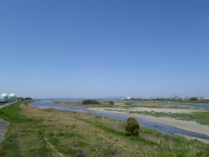 重信川緑地（2）の画像