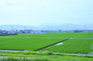 田園